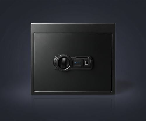 Fortress Medium Personal Drawer Safe with Biometric Lock